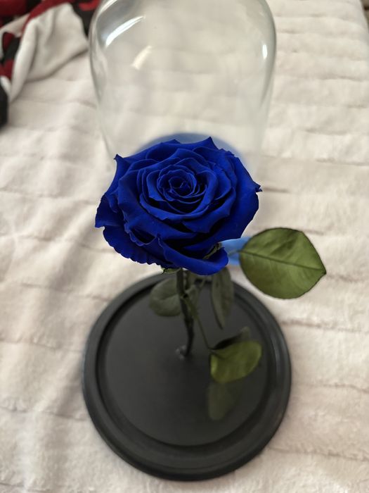 Trandafir criogenat albastru