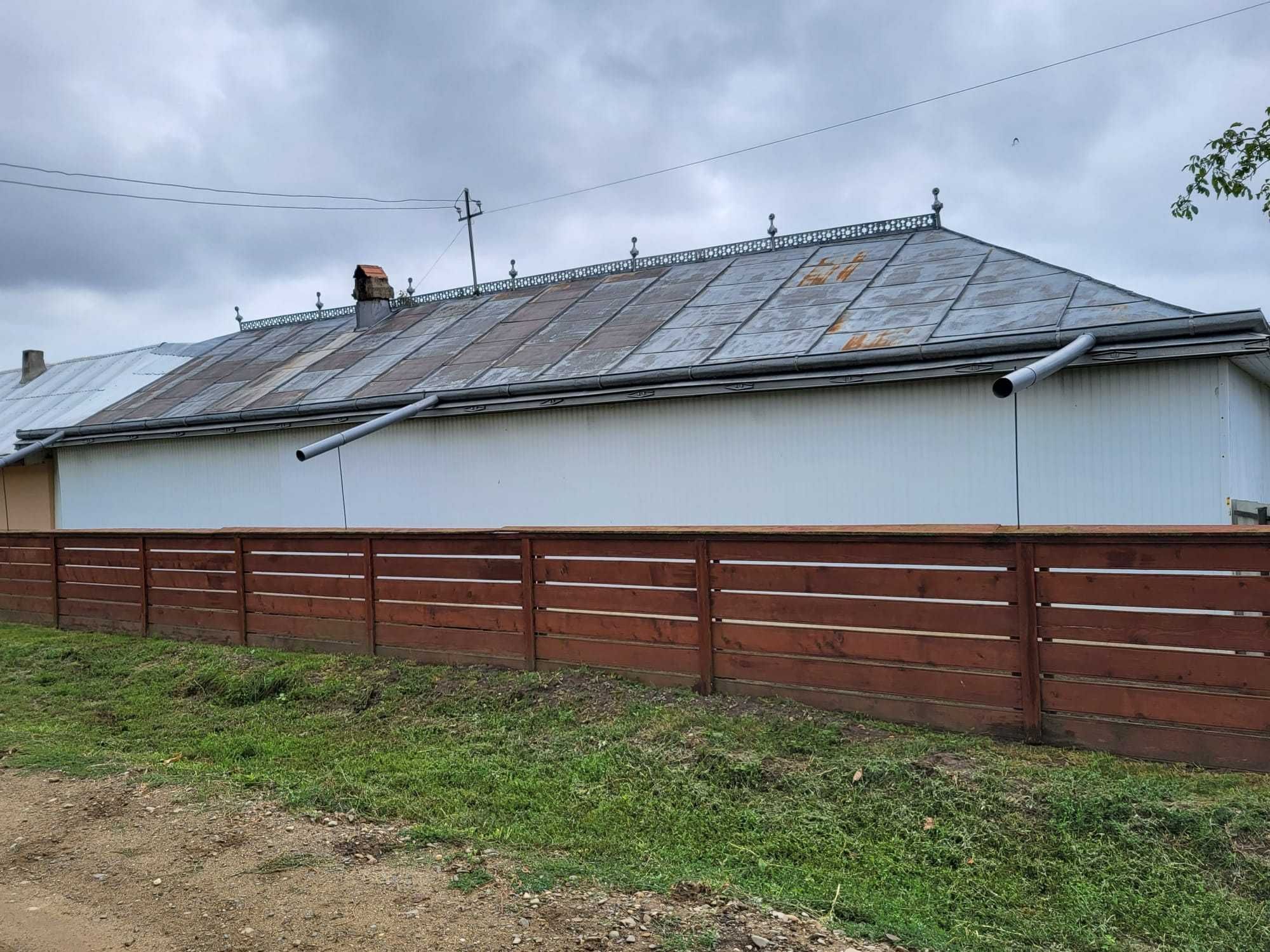 Vopsim orice tip de tabla pe casa, garduri, porti si alte suprafete