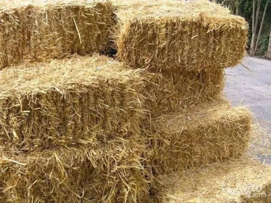 Продам солому.     .