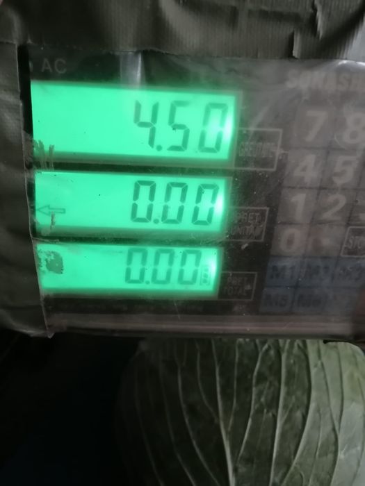 Varză de vânzare
