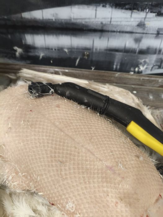 Мясо гусь молодой (4100), гусиный жир (1000)