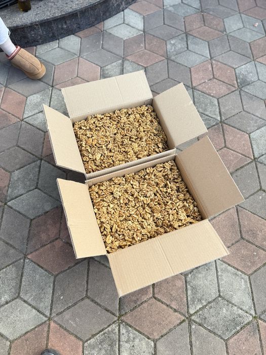 Vând jumătăți miez de nuca alb 2025!