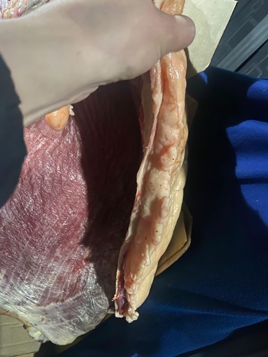 Соғым ет мясо жабағы байтал бие тай сатылады