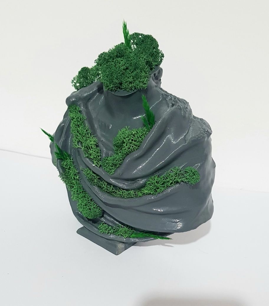 Bust printat 3D, cu licheni si plante stabilizate