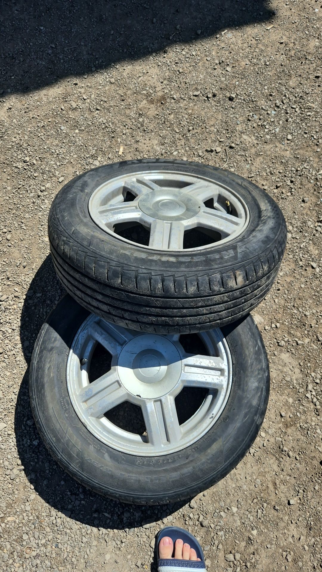 R 14 торрус саталады
