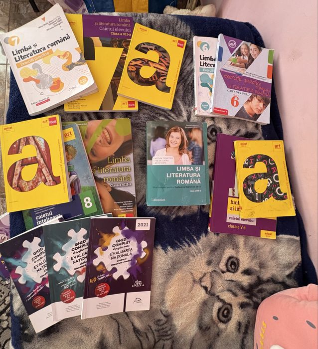 carți cu exerciții la Romana + rezolvare, clase 5, 6, 7, 8