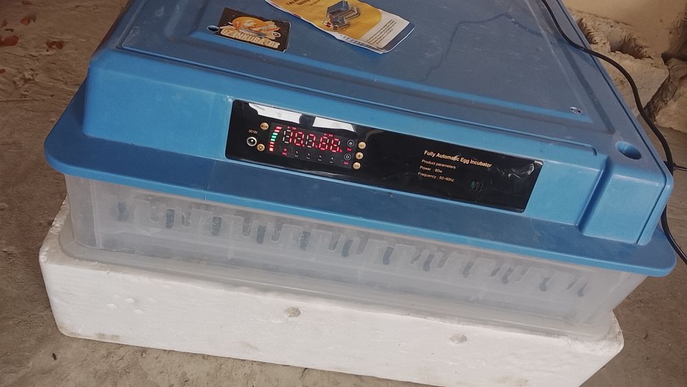 200 talik toʻliq aftomat tuxum chiqarish zoʻr