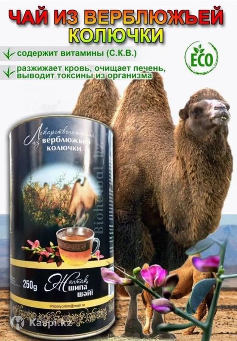 Жантақ шәйі. Чай верблюжьей колючей
