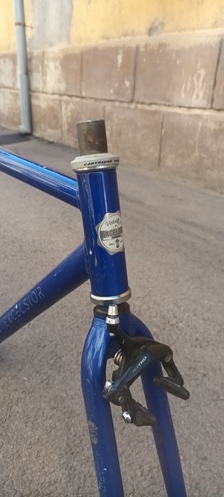 Рамка за фикси / singlespeed Exelsior, 55 см