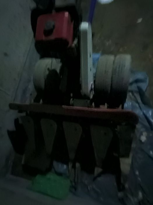 Kaselka: õt orish moslamasi