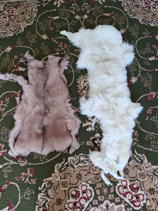 Выделанные шкурки чернобурки большие