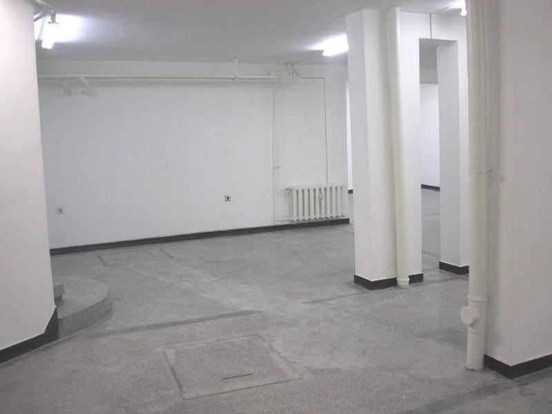 Дава се под наем Магазин в Пловдив, Мараша - 250 кв.м за 1020 € - Снимка #1