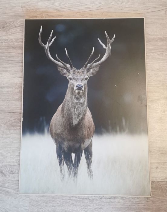 Антикварна фотография благороден елен рамкирана за закачане на стена