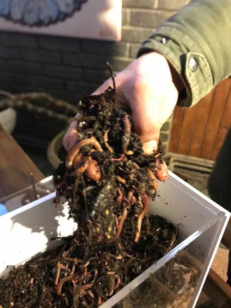 Râme de compost, ferma de râme, explicit pentru compostare