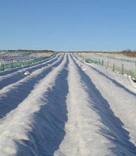 FOLIE MICROPOROASA-AGRYL-ANTI INGHET 8.45x100m;9.5x100m;10.5x100m