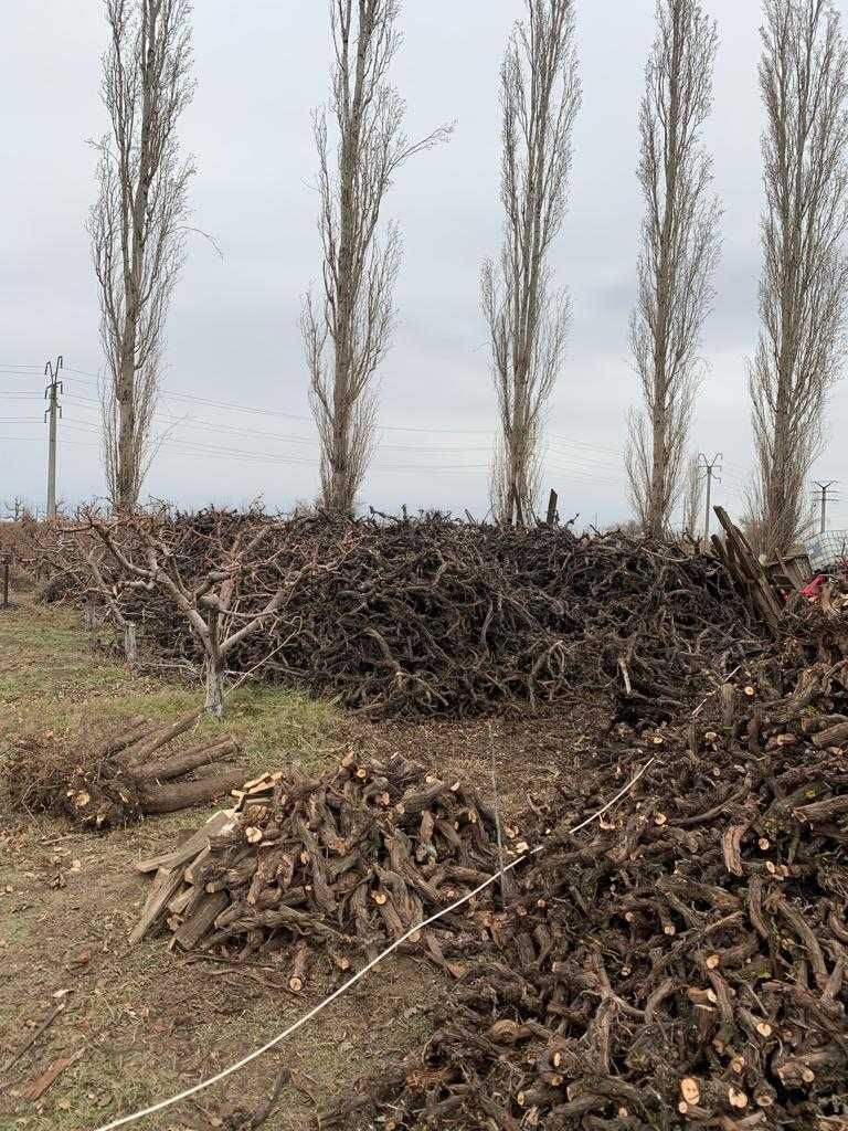 Vand lemn de foc de struguri (lemn de foc de fructe) pentru gratar