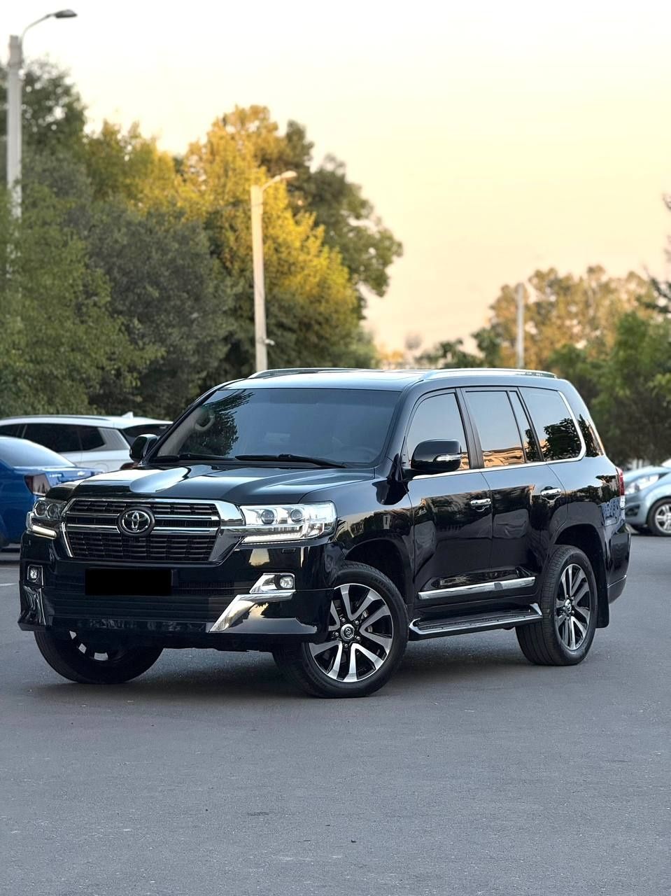 Toyota Land Cruiser 200   4.6L V8