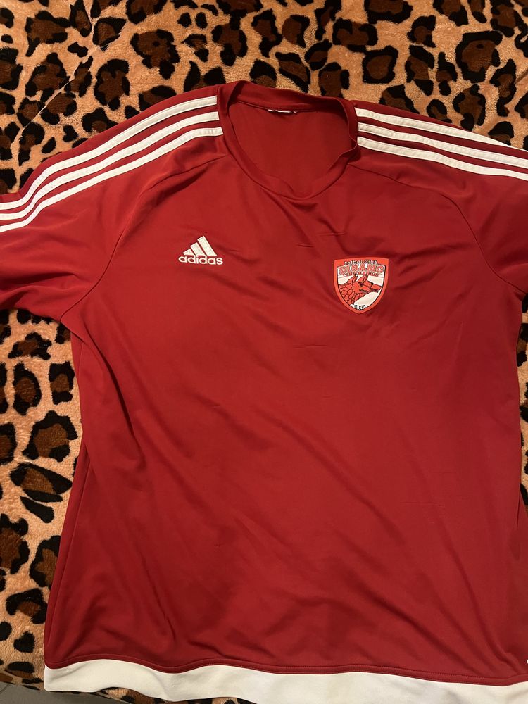Tricouri/bluze fotbal Dinamo Bucuresti