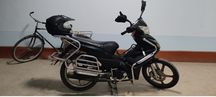 Moped sotiladi kami bor