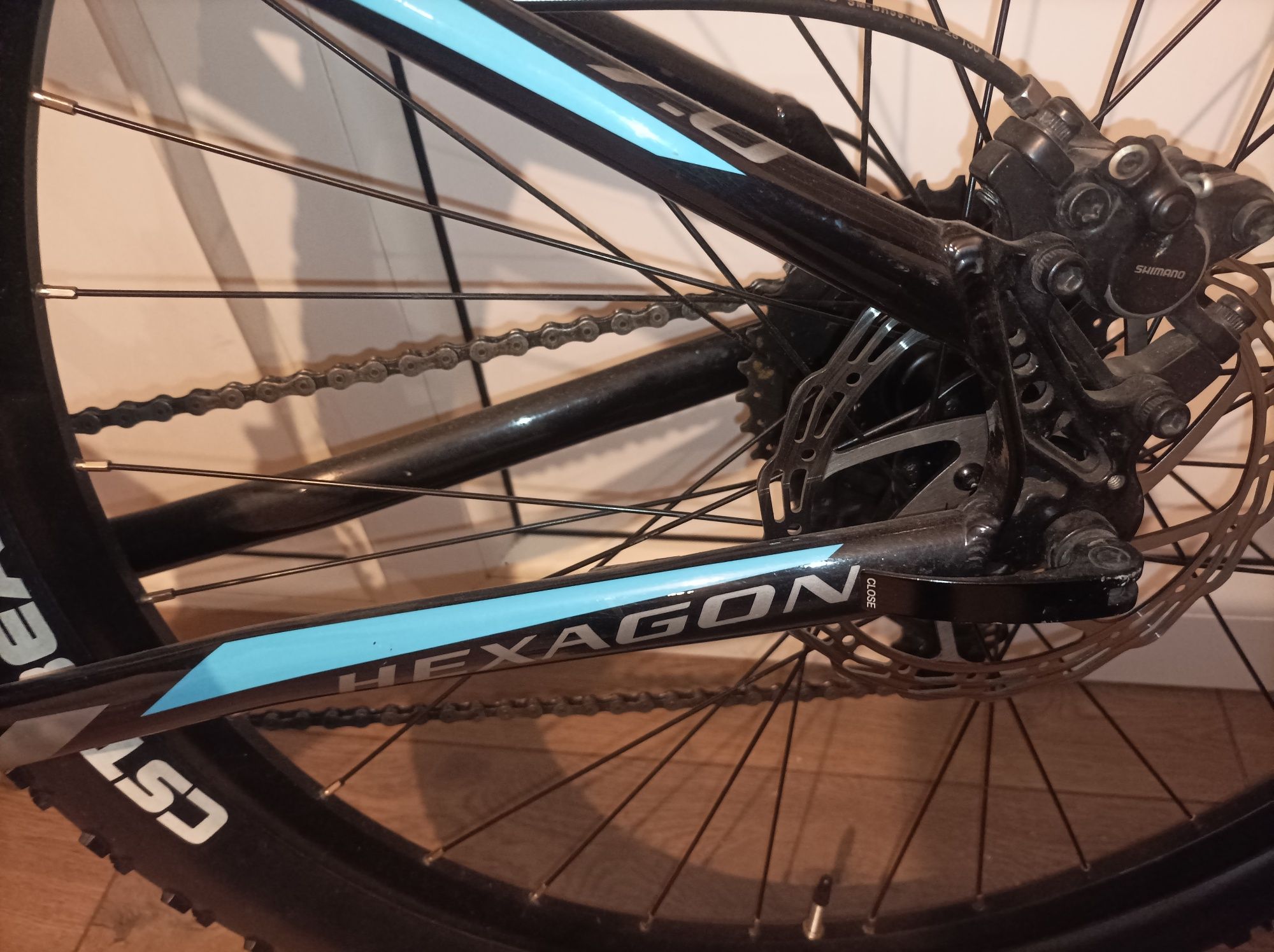 Kross Hexagon black-graphite blue glossy 2021