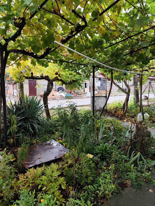 продавам селски имот с къща