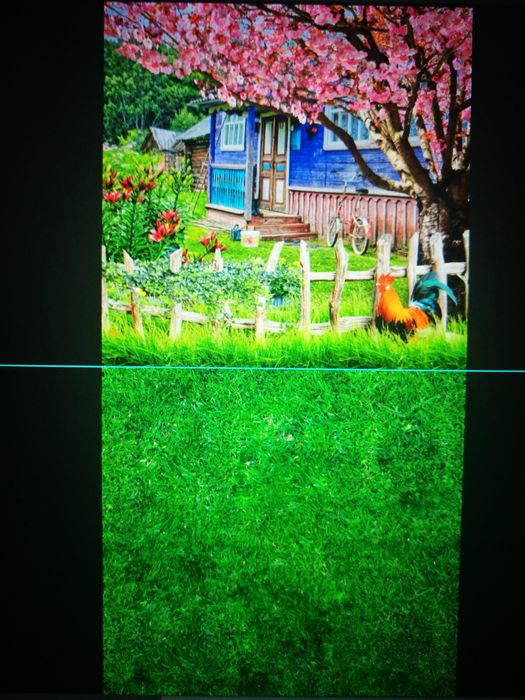 Фотофон для фотосессий