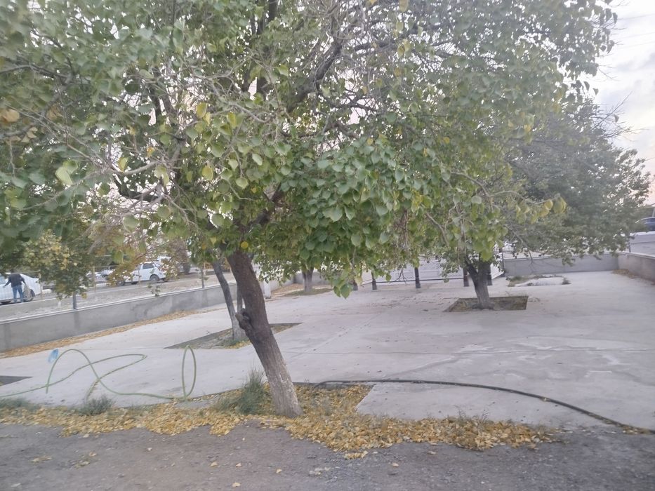 Шофирконда тадбиркорлик килиш учун нотурар бино сотилади