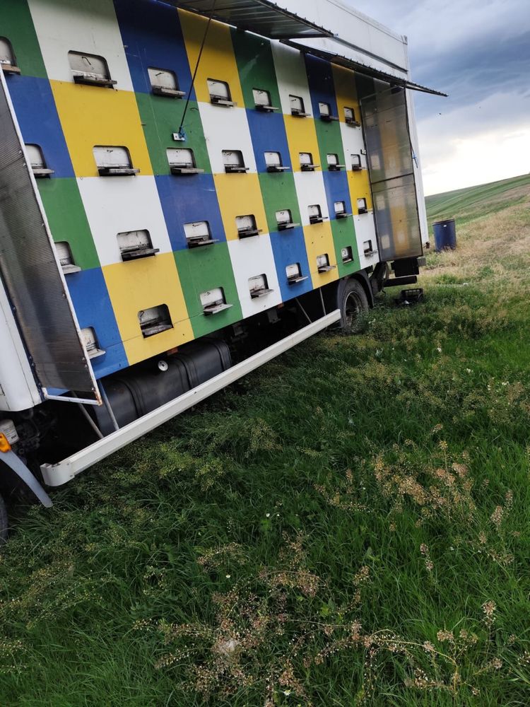 Vand la alegere camion apicol