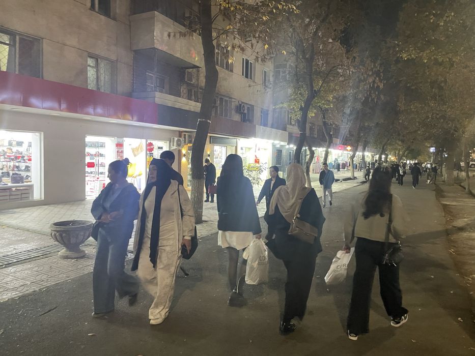 Метро МАКСИМА ГОРЬКОГО (собственник)!