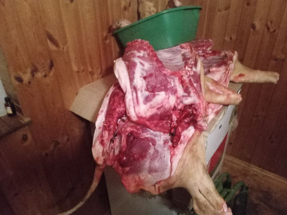 Продам мясо свинины.