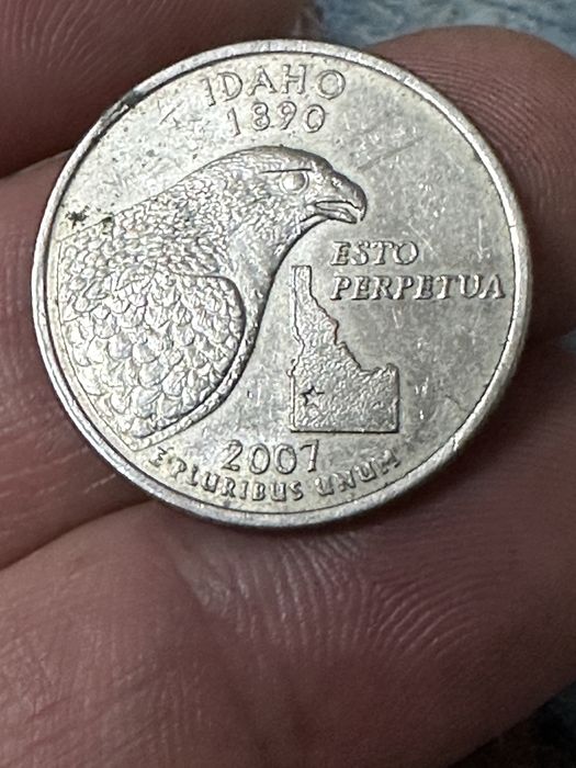 Monede euro si dolar