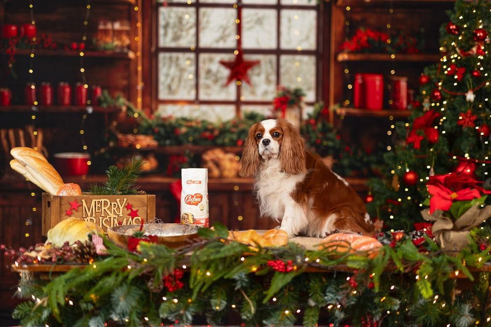 Коледни фотосесии в София