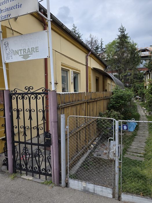 Spațiu comercial(casă)Pitesti strada.Raurilor