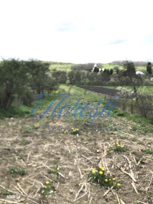 Teren intravilan 1.900 mp – Macicasu, Chinteni