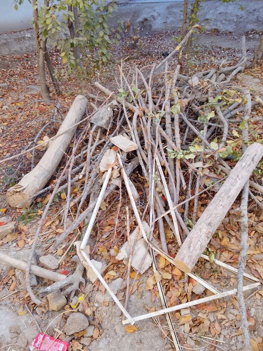 Otinla sotiladi urgachga