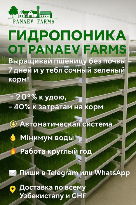Продаются гидропонные установки для выращивания пшеницы