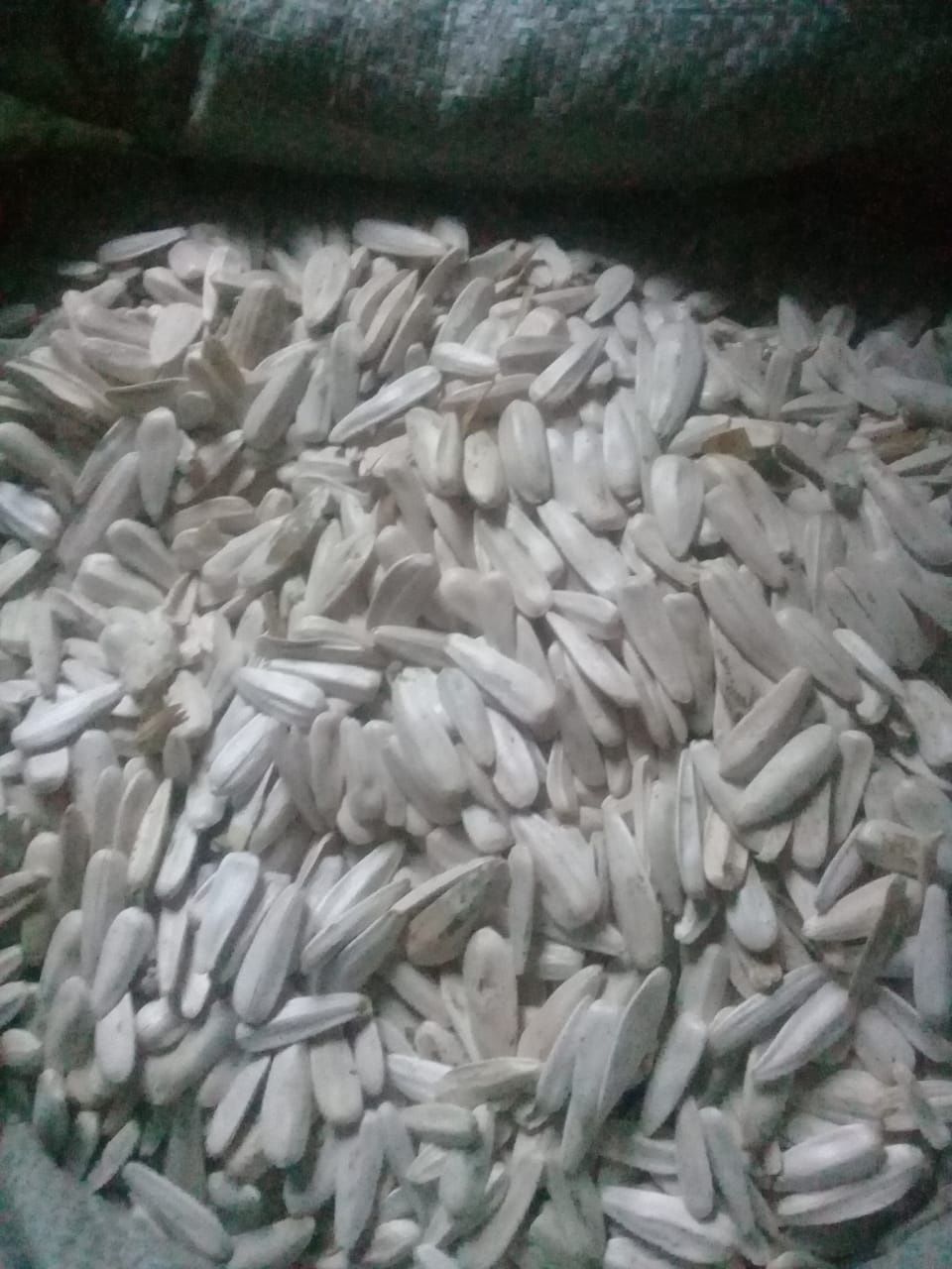 Продам белые семечки