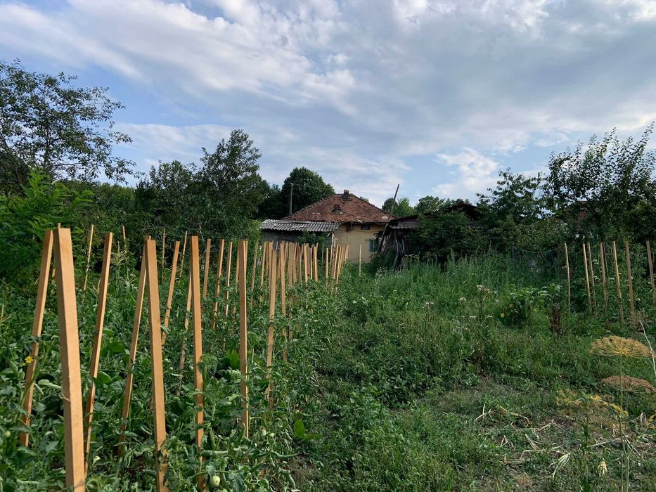 Casa la tara langa padure