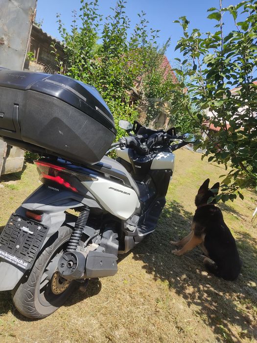 Honda Forza 125 an 2019 defect.