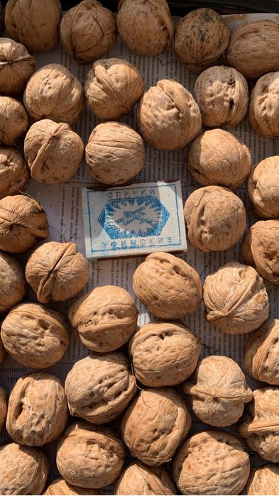 Продаю грецкие орехи урожай 2025