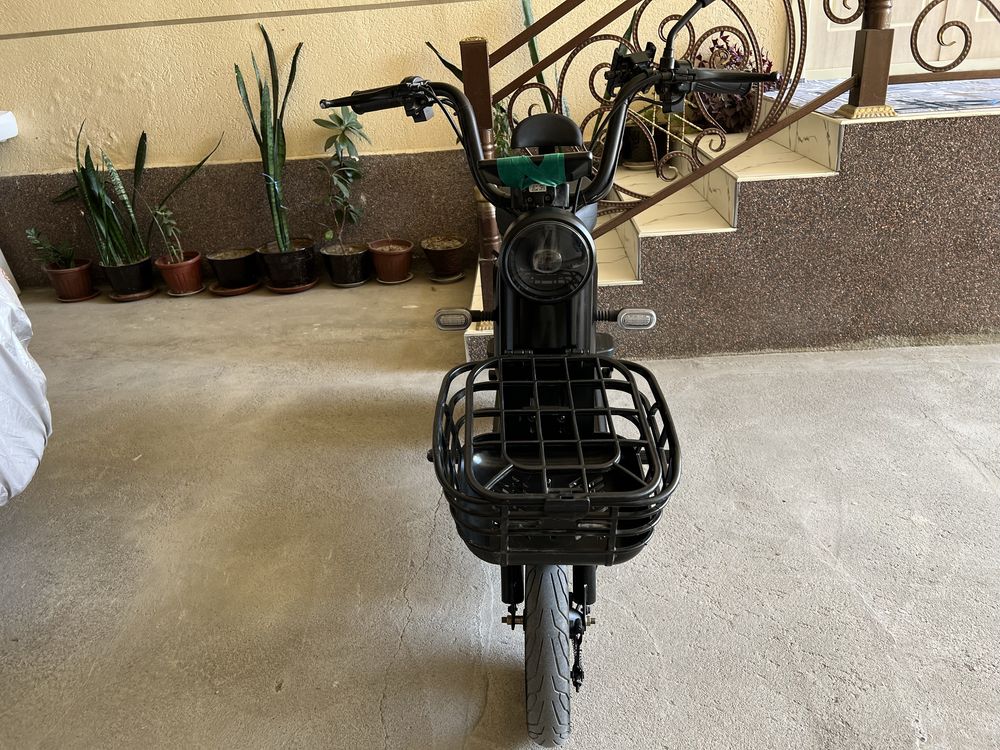 Bodoskuter zor hamyon bob