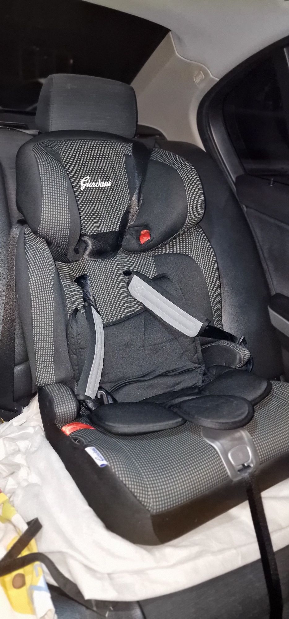 Vand scaun auto Giordani