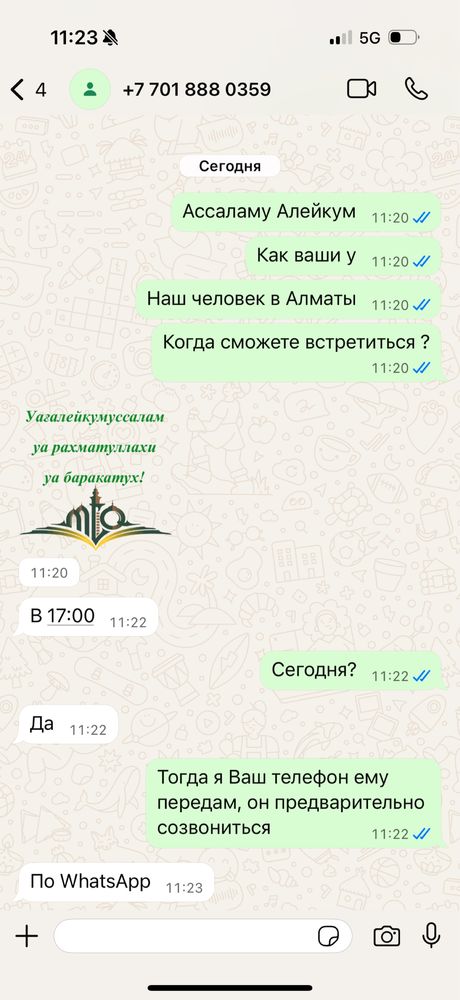 Отдам даром котят