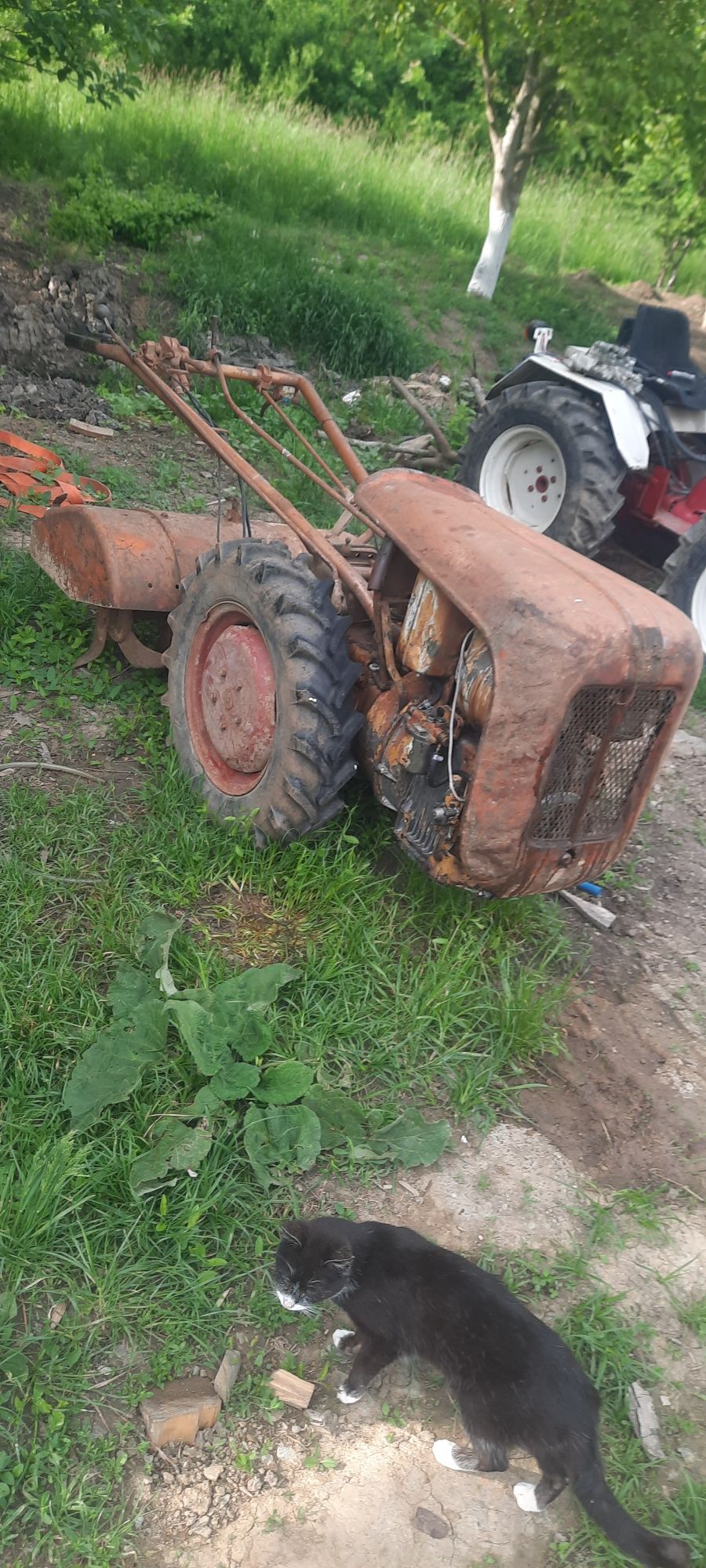 Vând motocultor ruggerini diesel