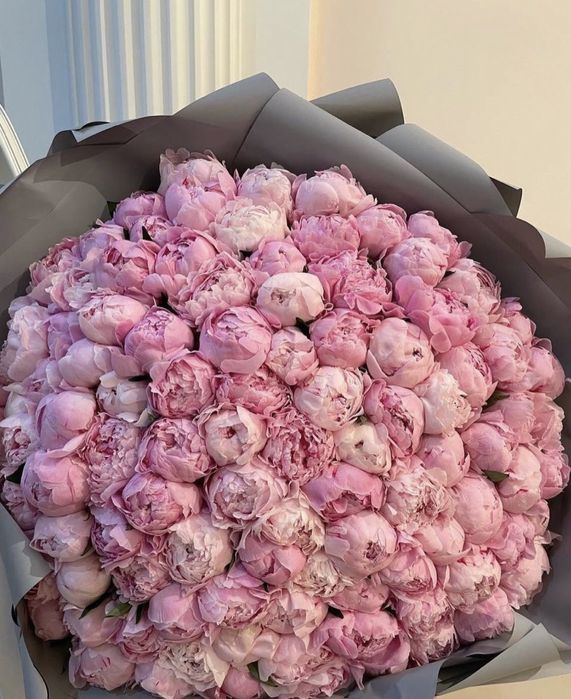 Гортензии. Пионы. Кустовые. Розы