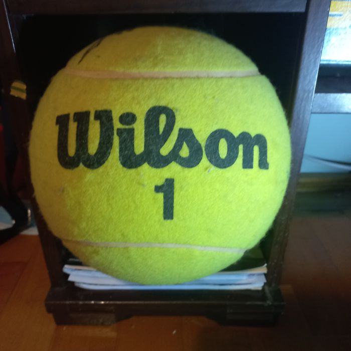 Minge Davis Cup Official Ball Wylson 1