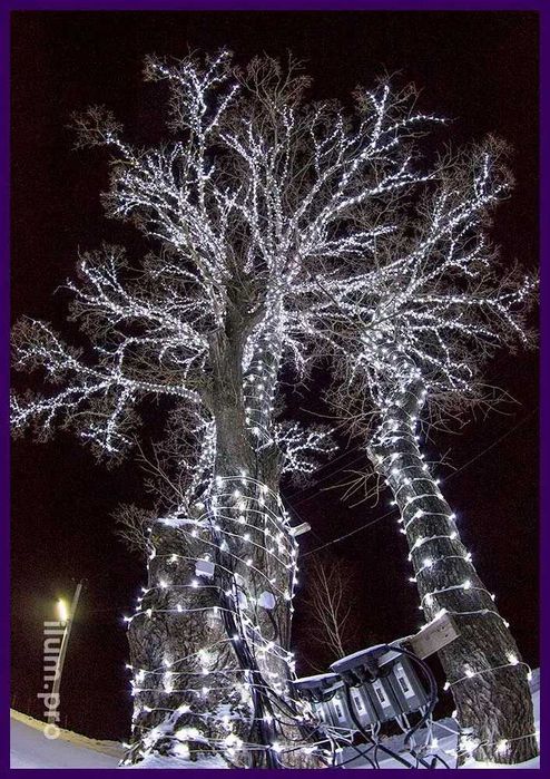 Новогодный ёлки болшие президентский! и Украшене! Елка