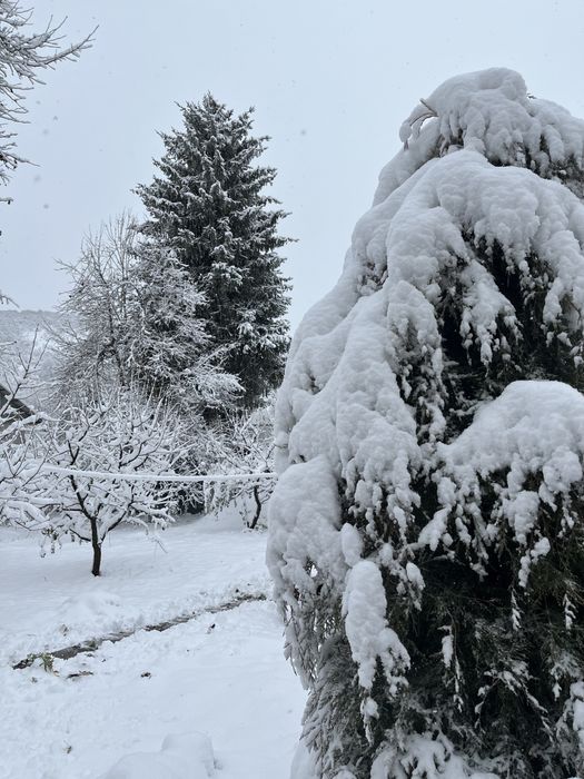 Дом Дача с бассейном в +Чимгане с участком 10,2 соток