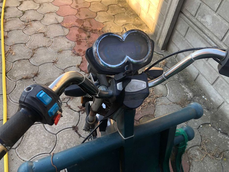 Triciclu electric MOVE Eco Cargo 500- 2019