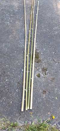 Bete bambus diferite marimi